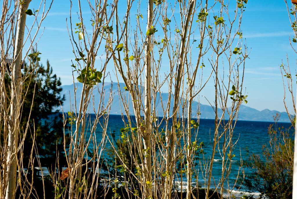 Apartamento Sea Sight Alykes  Exterior foto